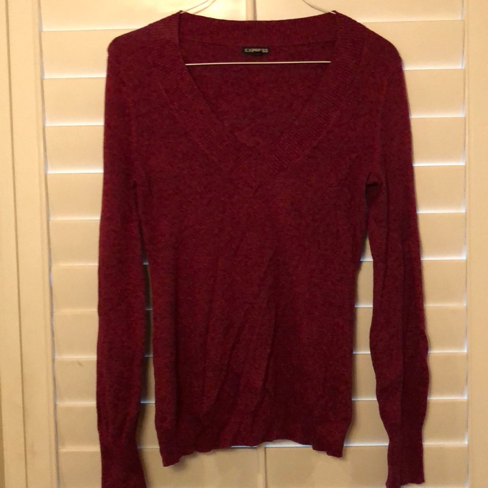 Express V-Neck Sweater